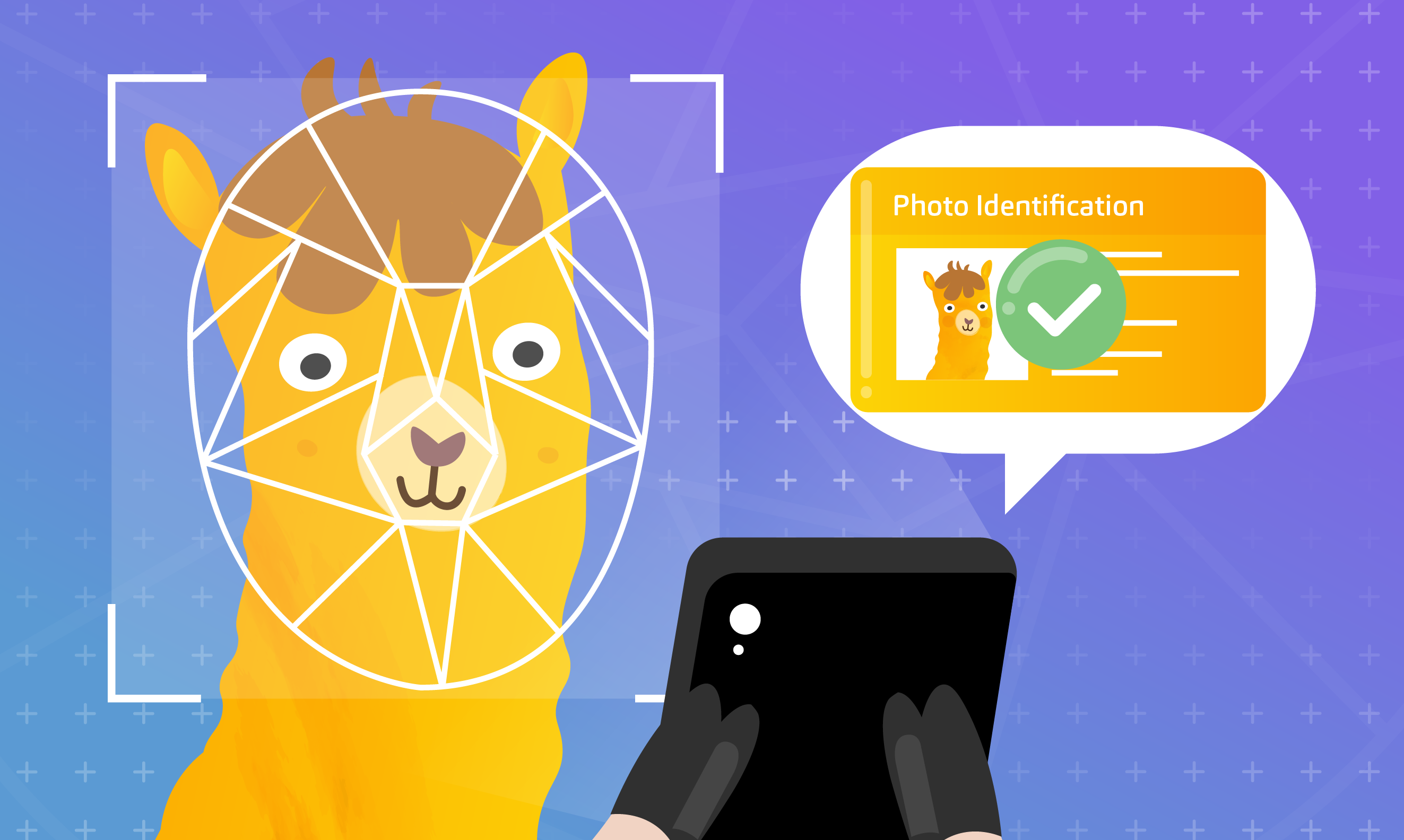 Alpaca Launches Onfido SDK for Broker API