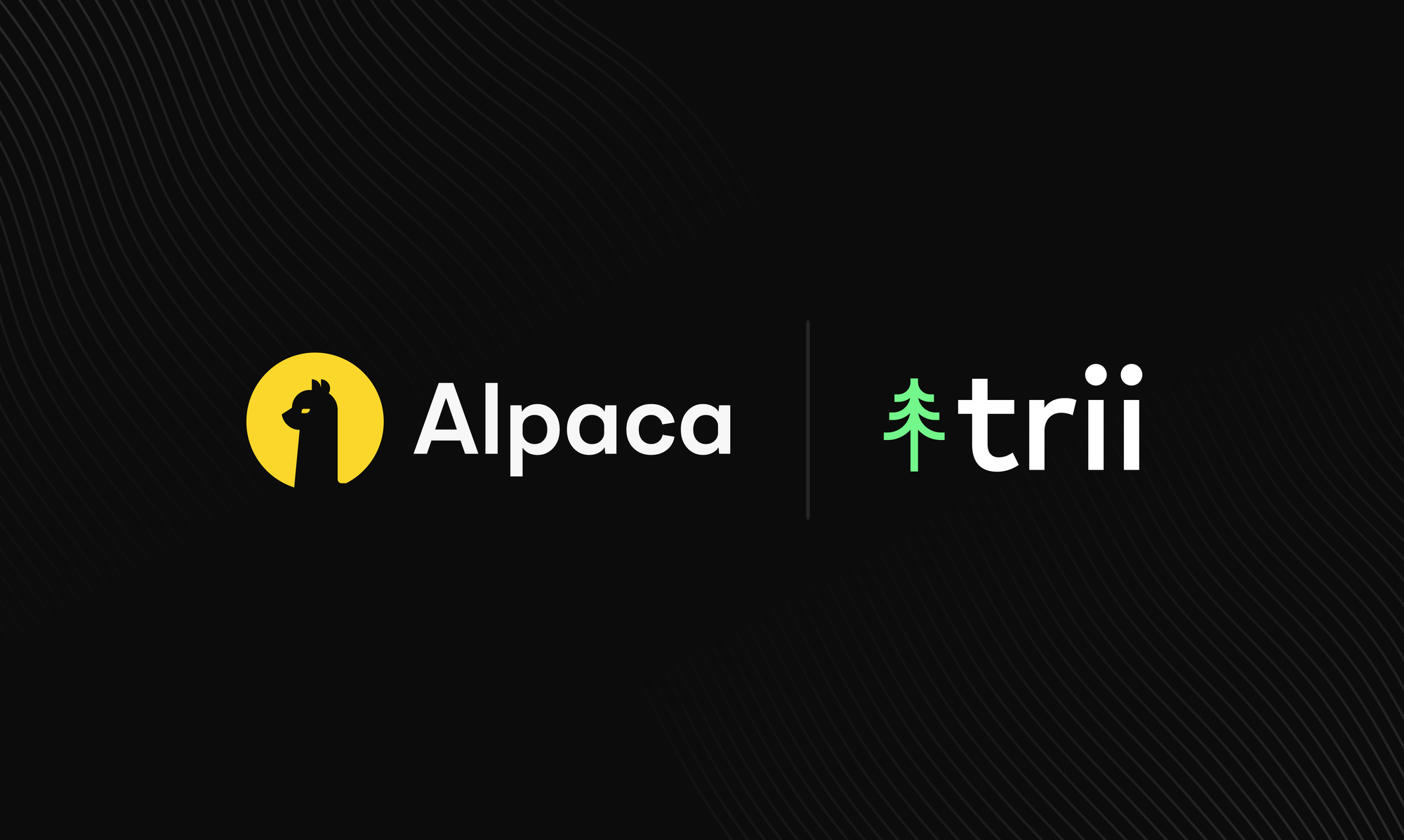 trii Launches US Stock Trading in Chile, Expanding Global Investment Access with Alpaca