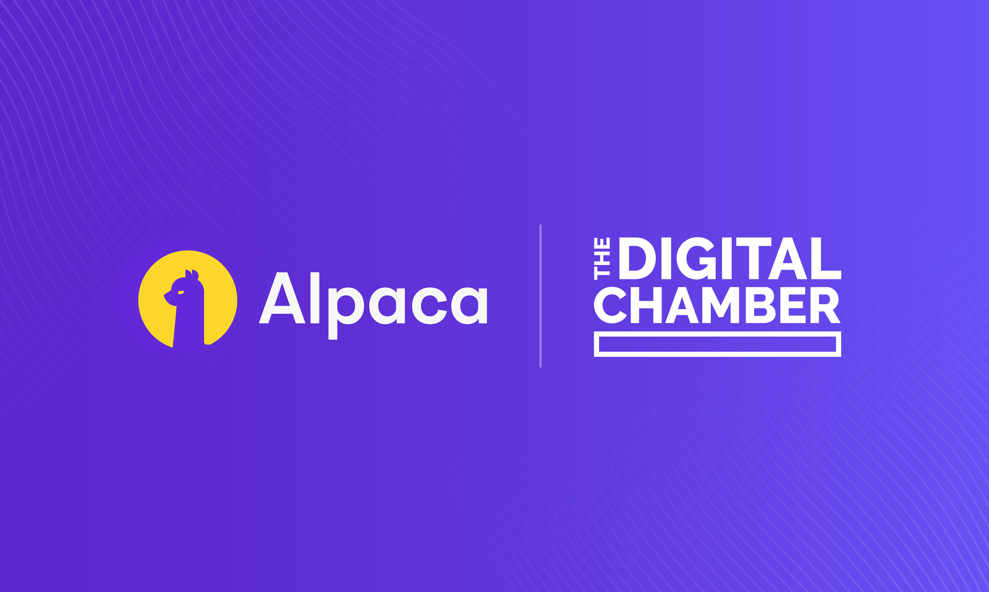 Alpaca Joins The Digital Chamber to Advance the Future of Global Financial Infrastructure
