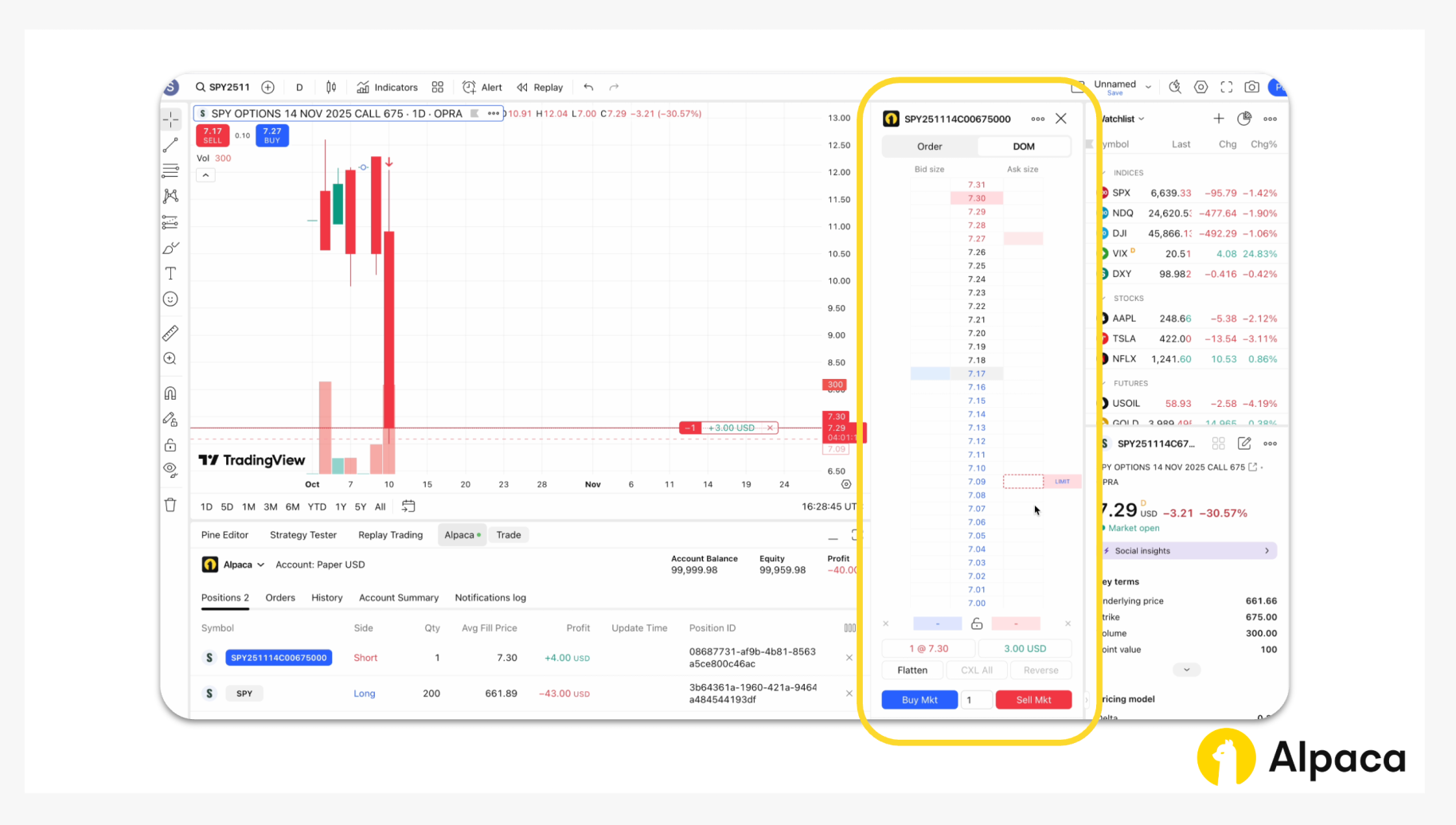 TradingView chart with Alpaca-connected panel showing the Depth of Market (DOM) view and live bid-ask prices for SPY options.