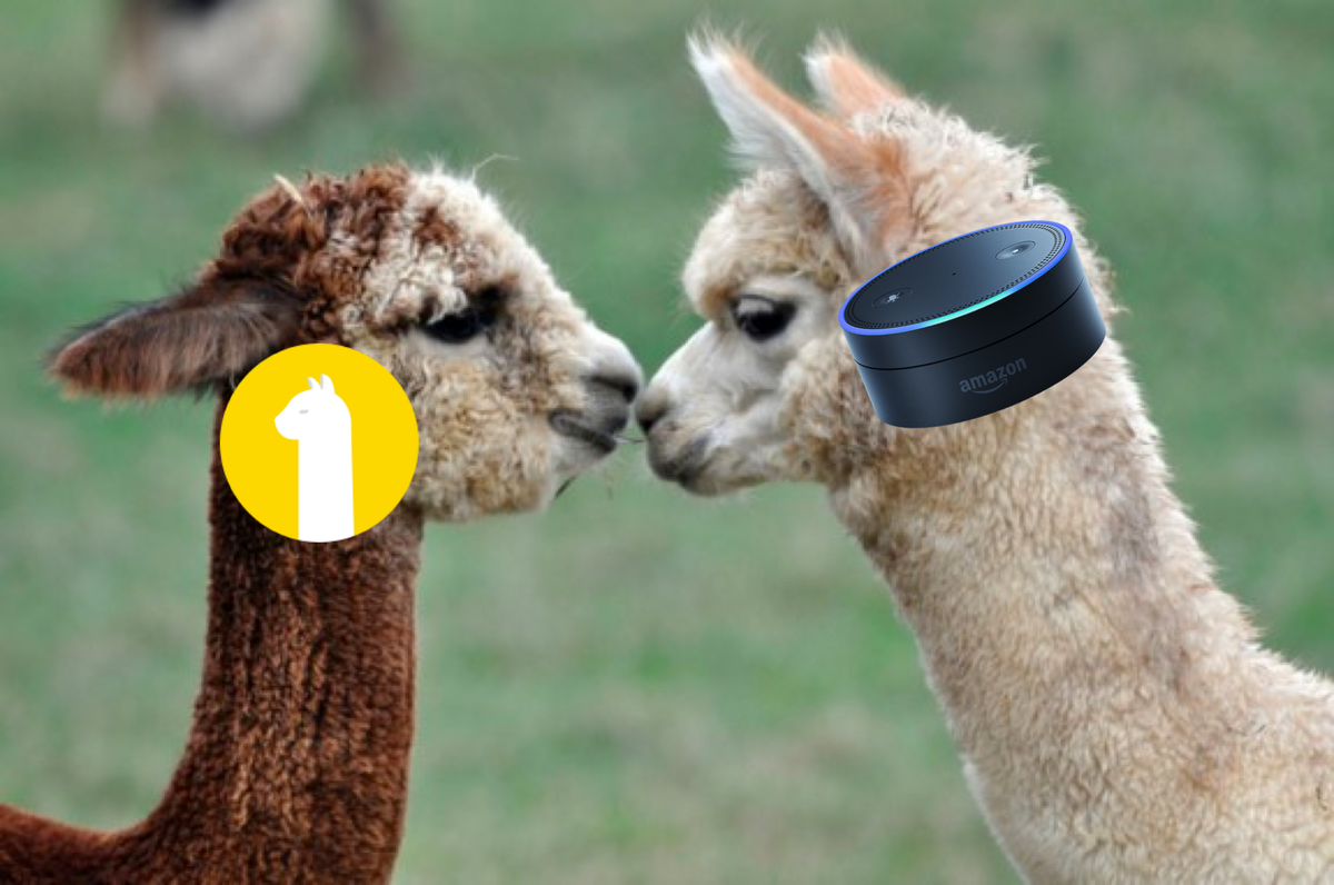 More Features with Amazon Alexa and Alpaca