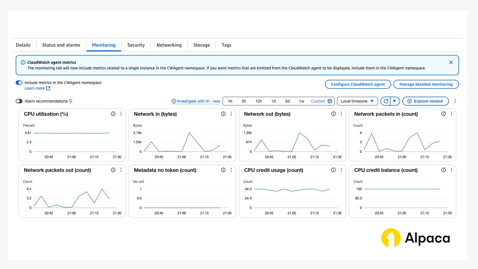 How to Build a Free Trading Bot with ChatGPT and Alpaca