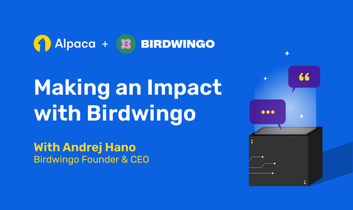 Making an Impact with Birdwingo