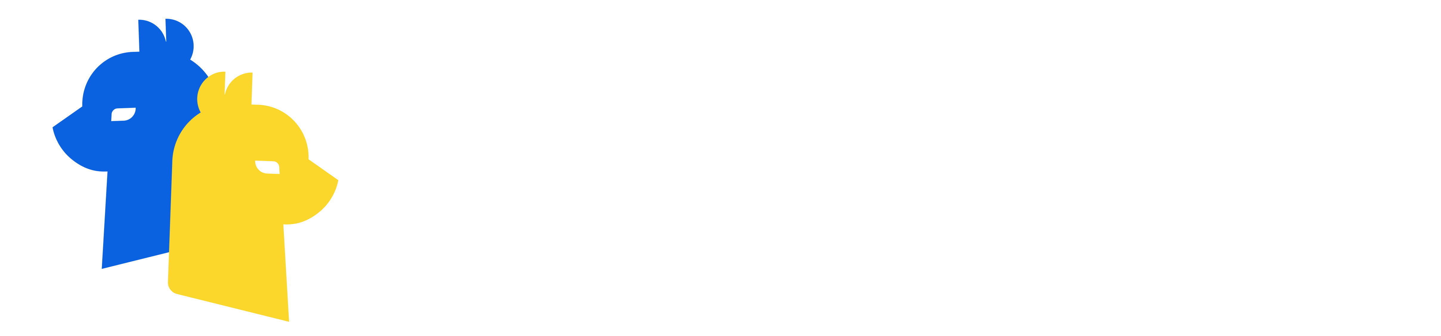 Requests Alpaca py